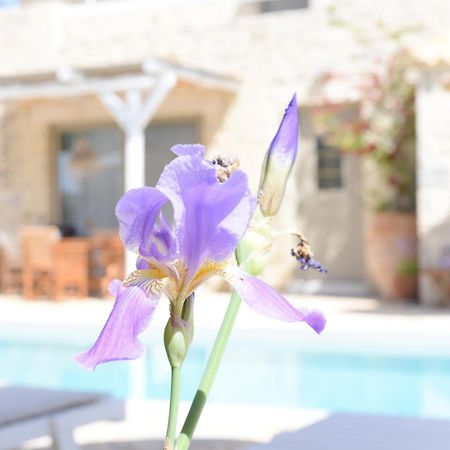 Laini Luxury Suites Pombia Bagian luar foto