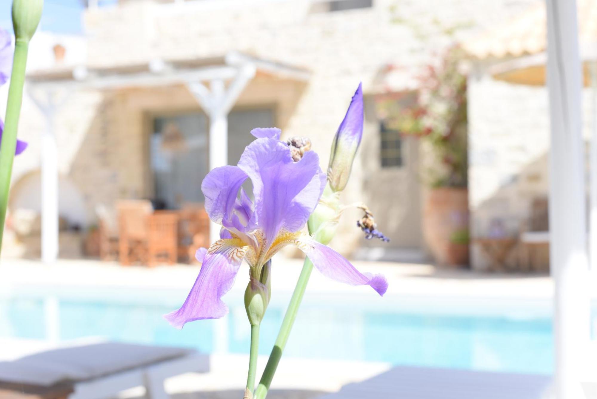 Laini Luxury Suites Pombia Bagian luar foto