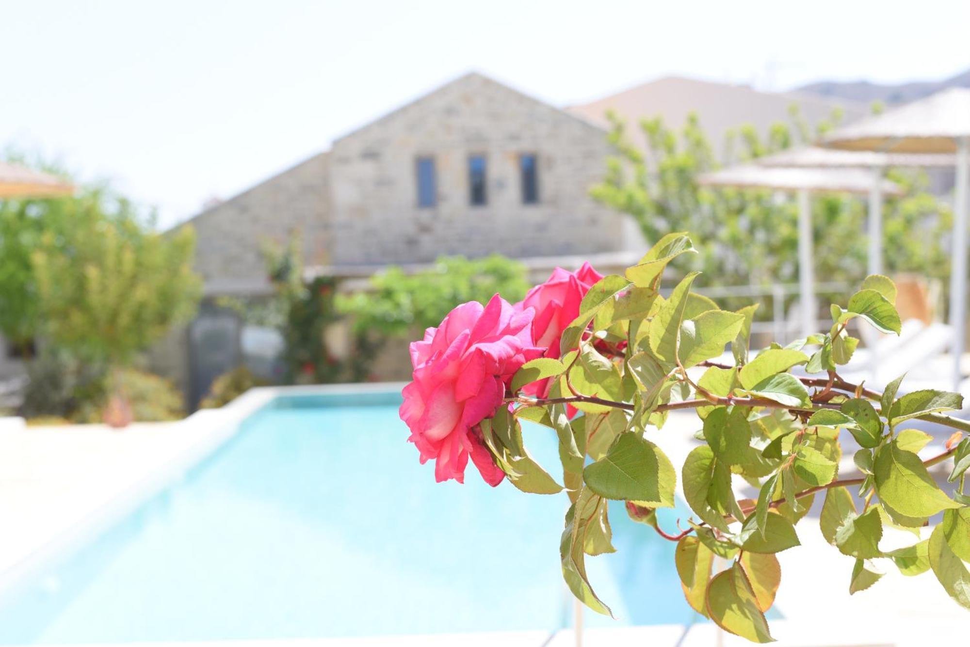 Laini Luxury Suites Pombia Bagian luar foto